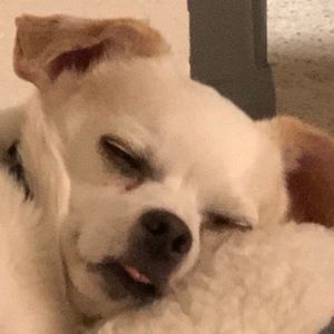 Meet your Posher, Zach